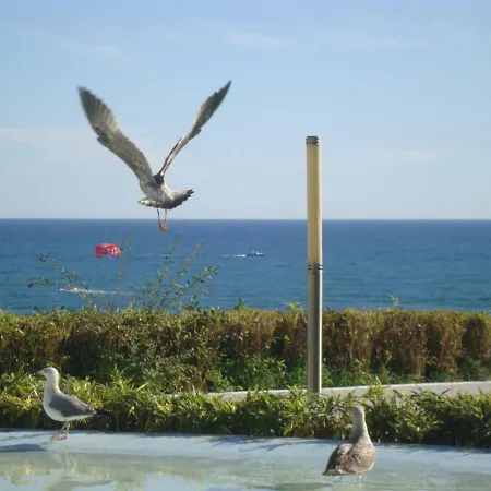 Guest house Algarvia Boutique & Albufeira